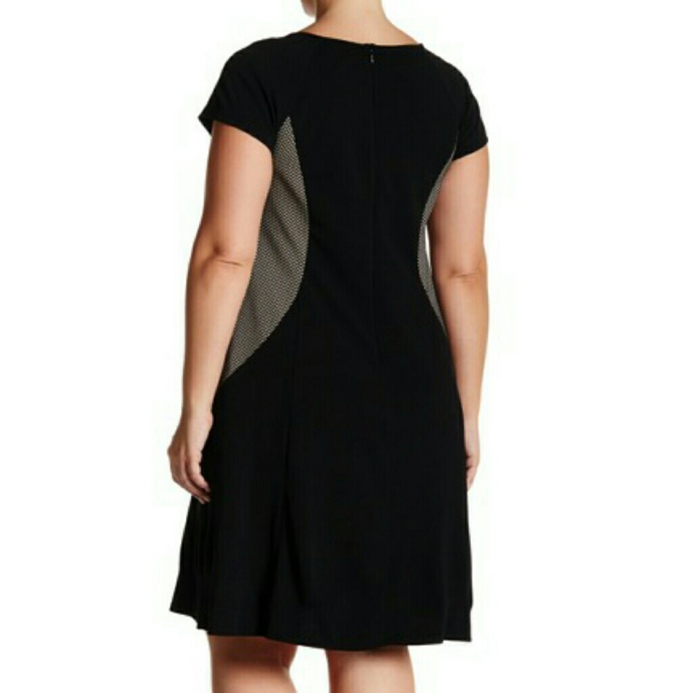 Sandra Darren Short Sleeve A-Line Knit Dress, NWT - Picture 2 of 2